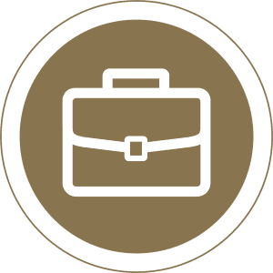 Freelance Visa