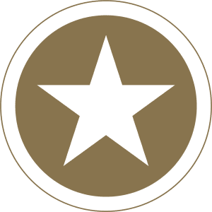 Freelance Visa 5