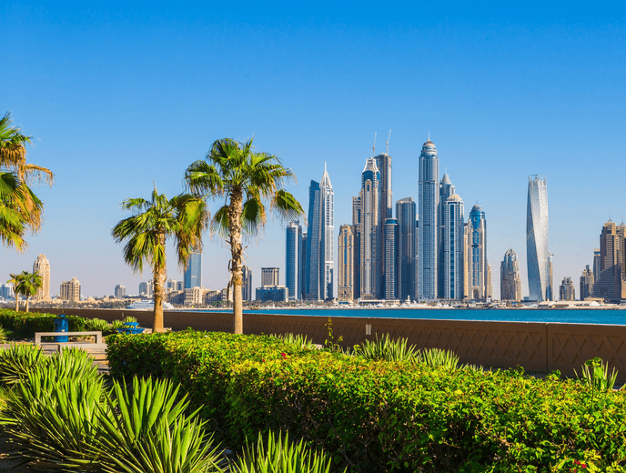 Dubai Skyline